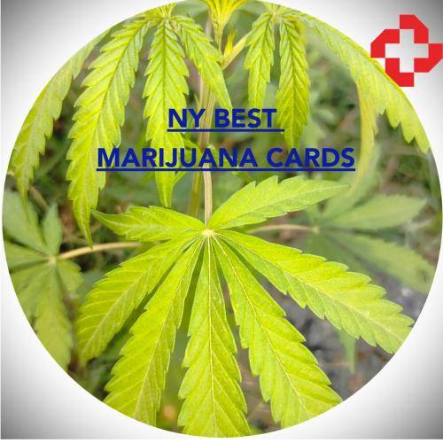 NY Best Marijuana Cards Logo