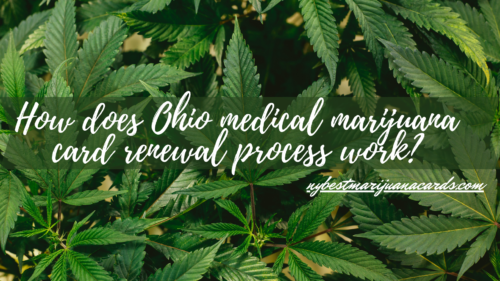 "How does Ohio medical marijuana card renewal process work?" and "nybestmarijuanacards.com" written on an image with Marijuana Leaves as background.