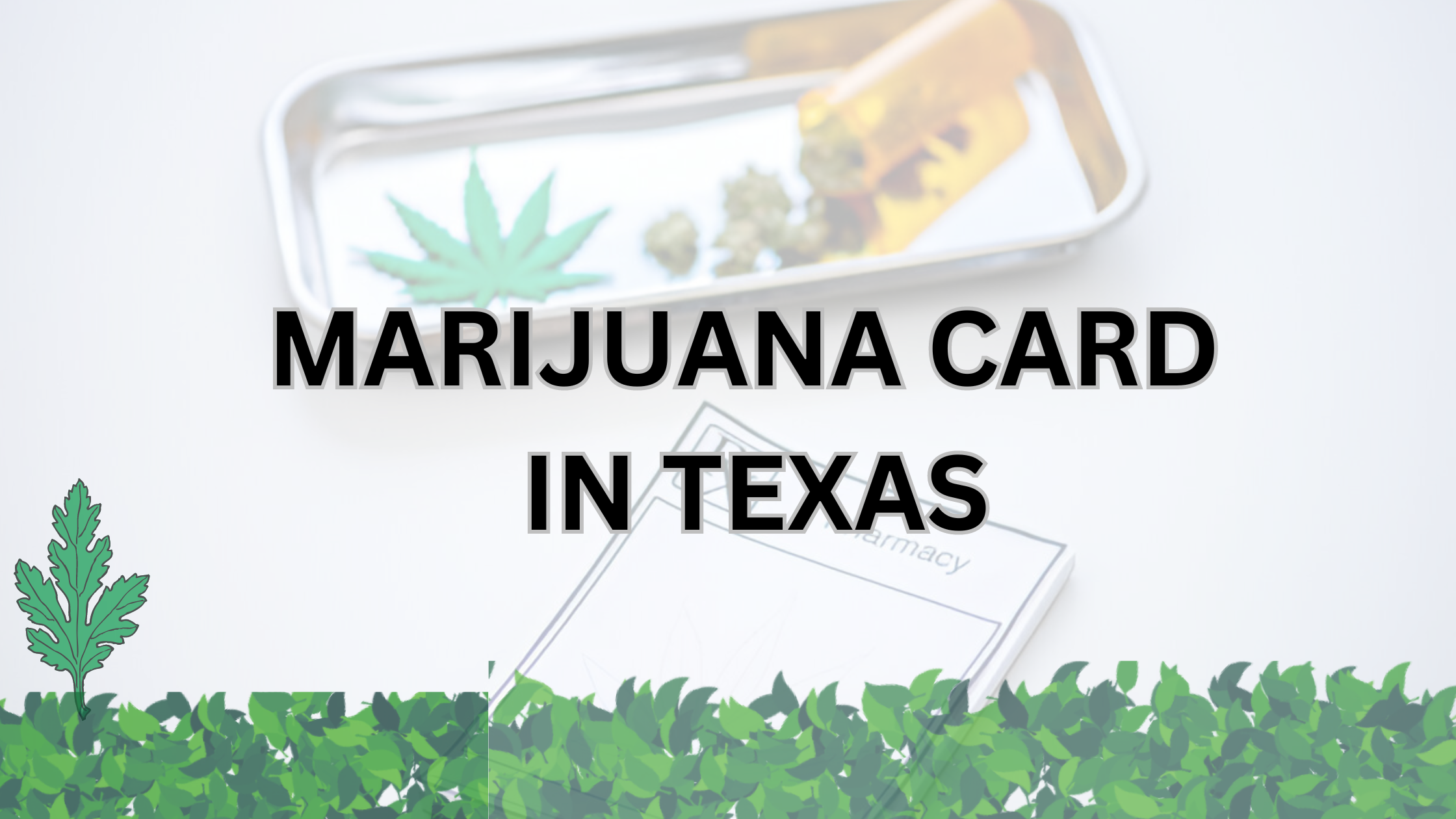 get Medical Marijuana Card Texas